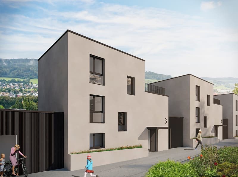 Neubau 5.5-ZI-EFH mit Attika-Geschoss / Reinach AG - Sonnenlage und Weitblick (4)