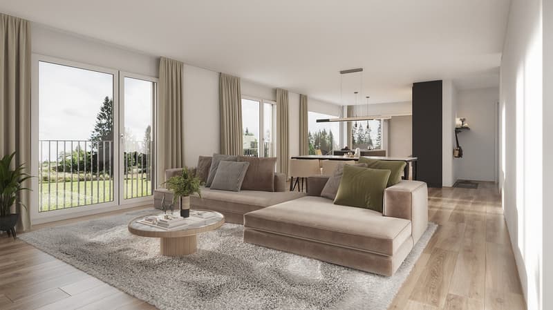Neubau 5.5-ZI-EFH mit Attika-Geschoss / Reinach AG - Sonnenlage und Weitblick (6)