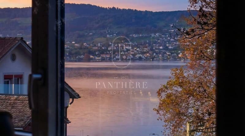 Vivete 305 m² di atmosfera loft newyorkese sul lago di Zurigo (6)
