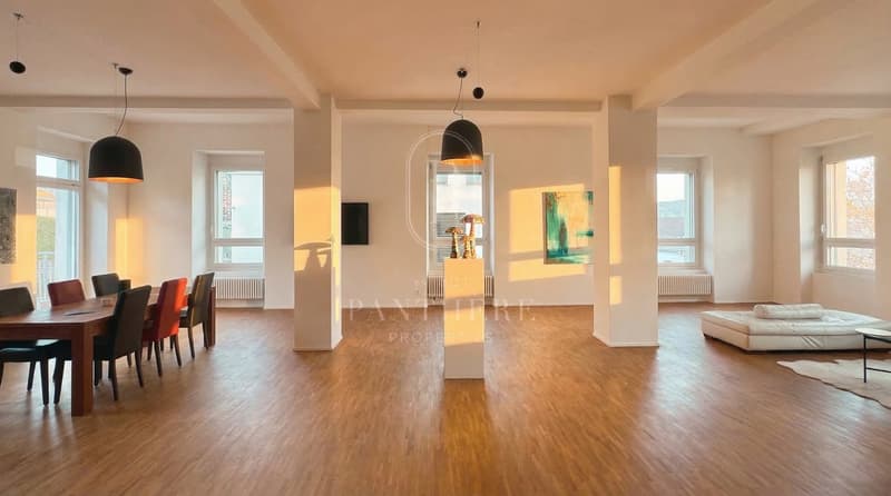 Vivete 305 m² di atmosfera loft newyorkese sul lago di Zurigo (2)