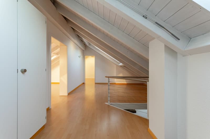Large 7 1/2-room maisonette apartment in Cham (17)