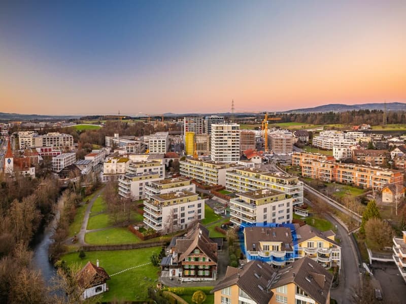 Large 7 1/2-room maisonette apartment in Cham (21)