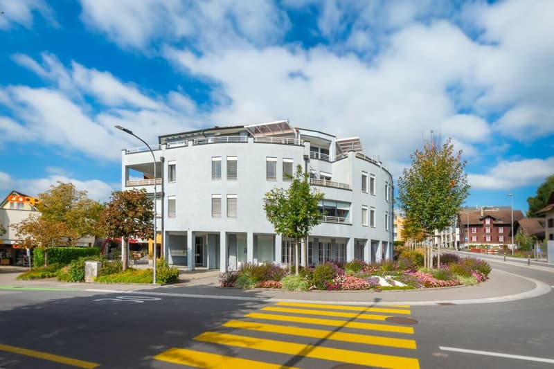 Hochwertig renovierte 5 1/2-Zimmer-Attikawohnung im Herzen von Hünenberg (19)