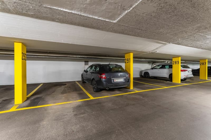 Wohnung im Grünen (22)