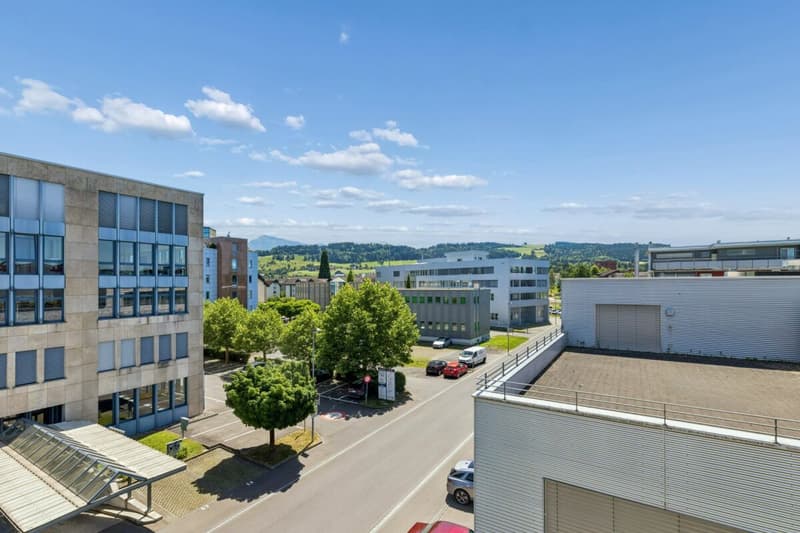 moderne 4 1/2 Zimmerwohnung mitten in Rotkreuz (11)