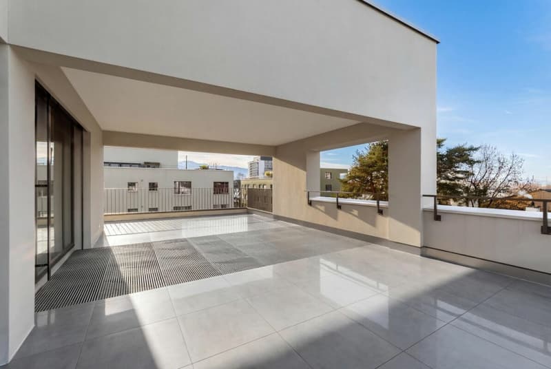 Topmoderne Attikawohnung mit Traumterrasse (6)