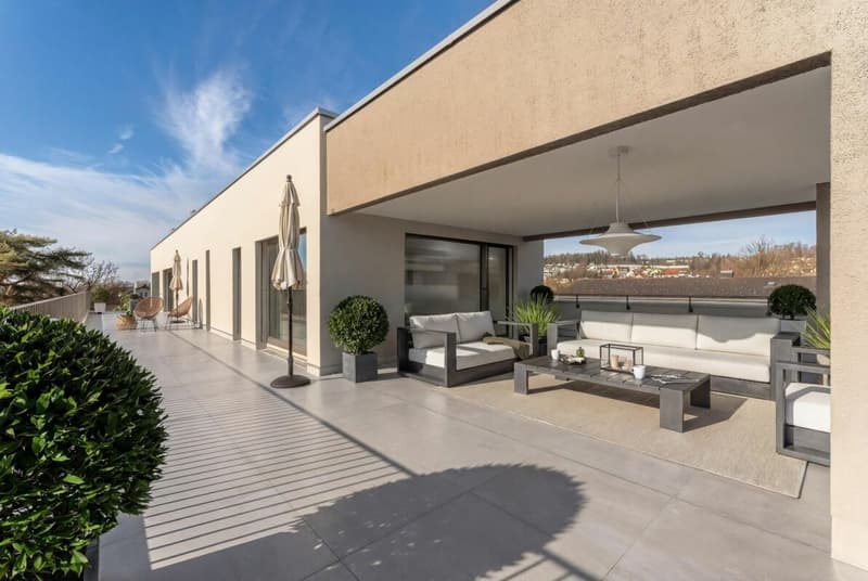 Topmoderne Attikawohnung mit Traumterrasse (1)