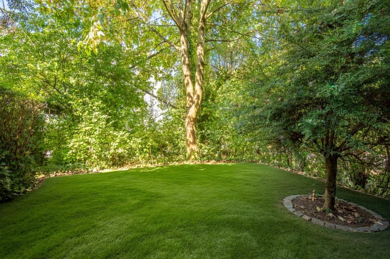 Schöne 2 1/2-Zimmer-Gartenwohnung (8)