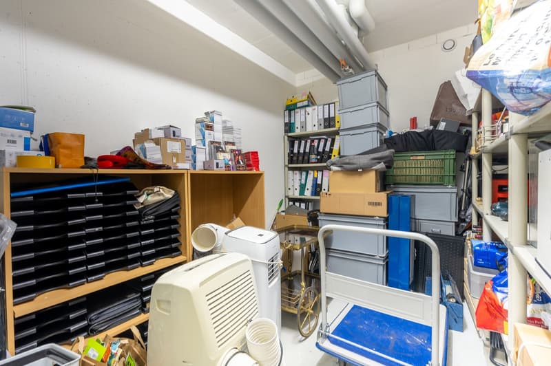 3.5-Zimmer-Attikawohnung mit Morgen- und Abendsonne – vor den Toren Zürichs (18)