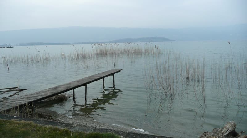 3 Minuten zu Fuss vom See entfernt wohnen 4.5 Zimmer-Wohnung im Hochparterre Lüscherz am Bielersee (4)