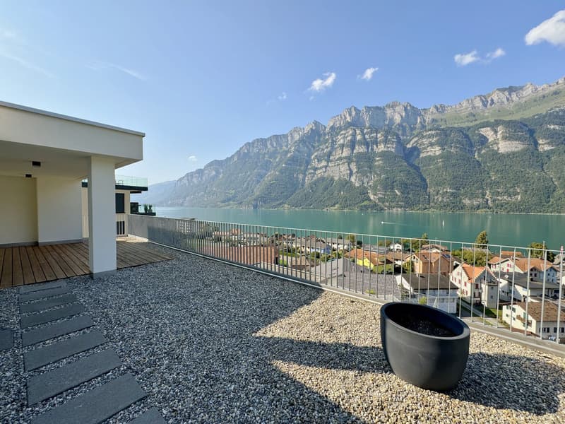 A terrace with gravel and wooden path, railings and a potted plant, with a view of the lake and mountains.