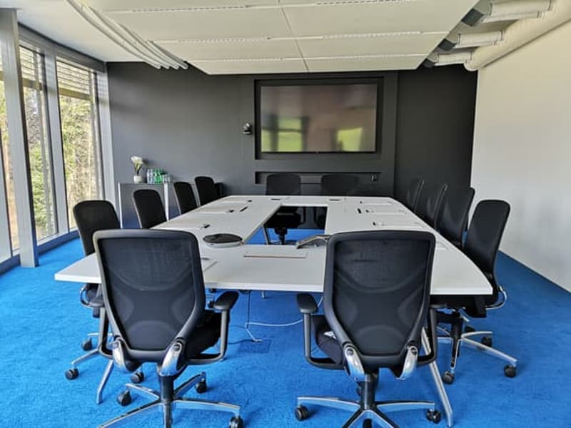 Conference room with U-shaped table, black chairs, blue carpet, large windows, and a mounted television.