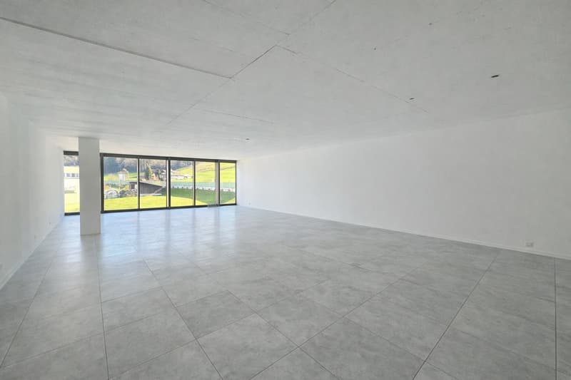 Ideal für Treuhand, Beratung oder Praxis – 101 m² Bürofläche mit Ausbau nach Wunsch in Pfäffikon SZ (2)