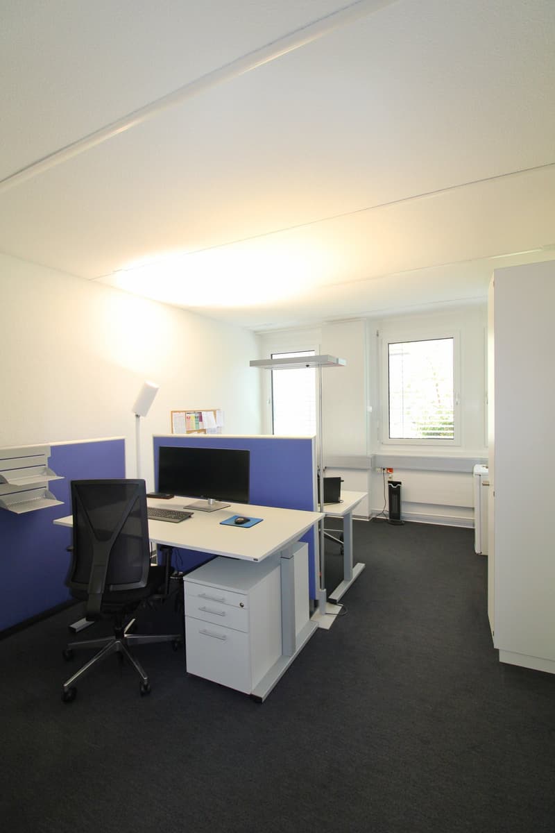 modern office with white walls, blue partition, white desk, black chair, computer, keyboard, mouse, lamp, trash can, window