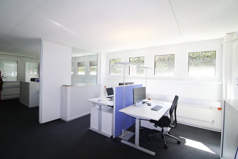 modern office, white walls, black carpet, white desks, computer monitors, office chairs, lamps