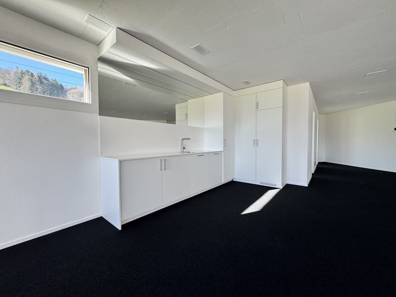 Raum für Erfolg – 125 m² Businessfläche in Pfäffikon SZ (4)