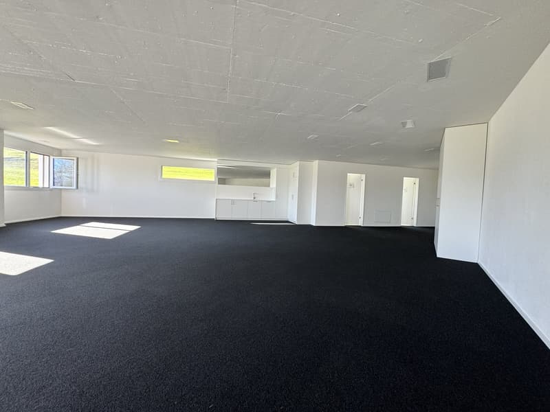 Raum für Erfolg – 125 m² Businessfläche in Pfäffikon SZ (5)
