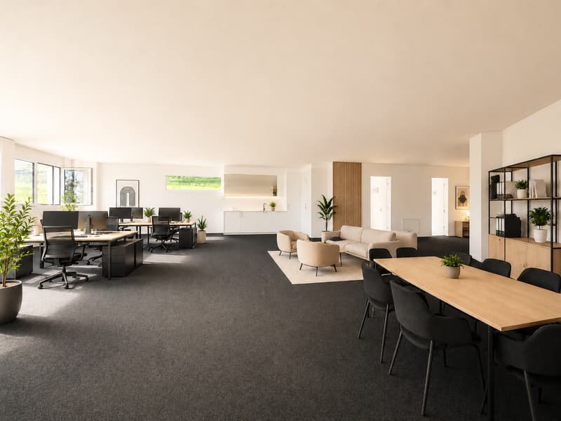 Raum für Erfolg – 125 m² Businessfläche in Pfäffikon SZ (1)