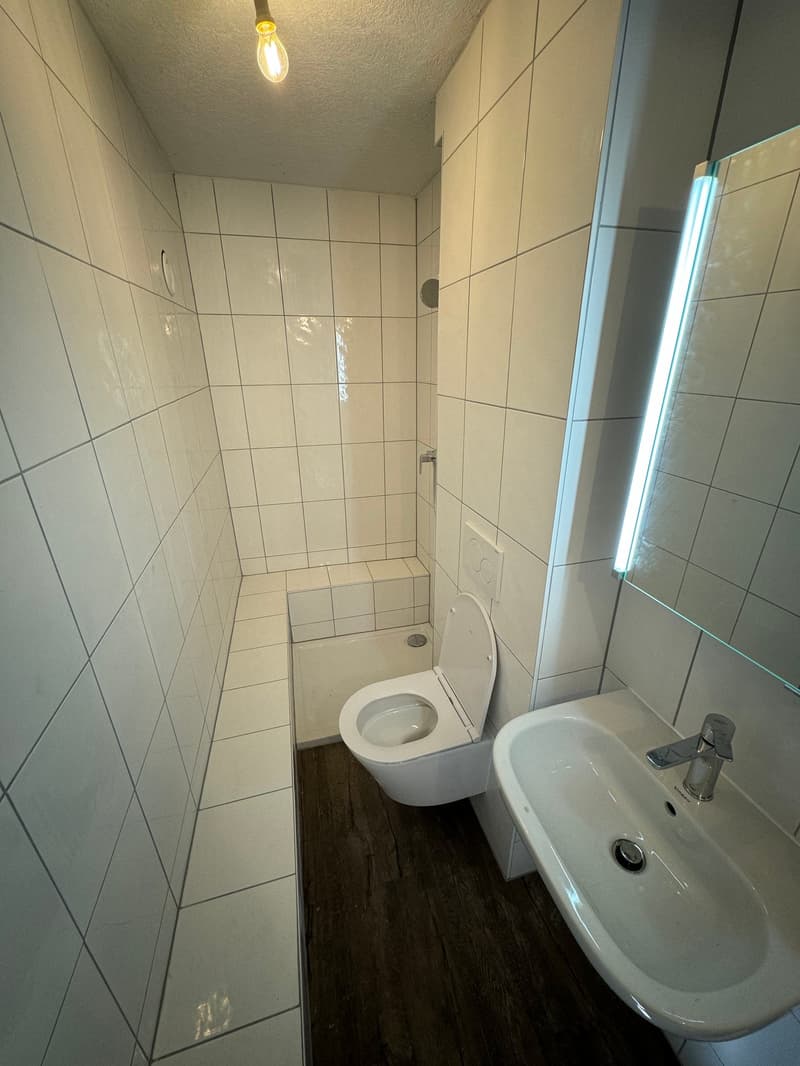 Studio cosy rénové à Martigny-Croix (4)