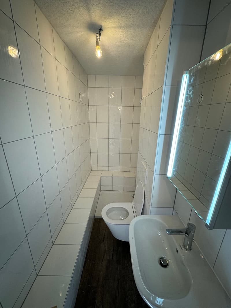 Studio cosy rénové à Martigny-Croix (3)