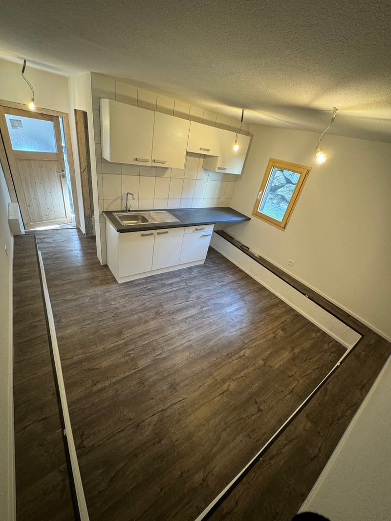 Studio cosy rénové à Martigny-Croix (2)