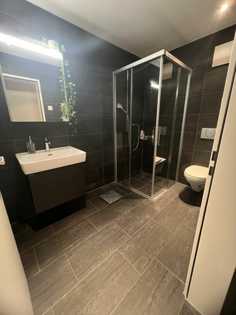 Schöne Helle 4 1/2 Zimmer Eigentumswohnung (8)