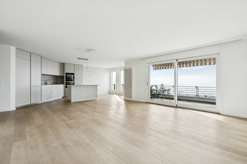 Magnifique appartement à Montreux avec une vue imprenable sur le lac et les Alpes (2)