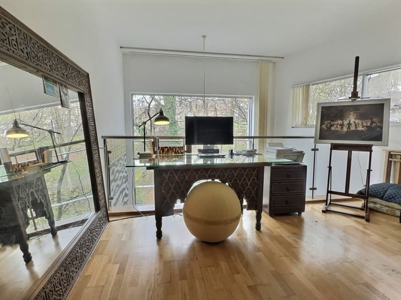 Sublime appartement au centre ville de Lausanne (4)