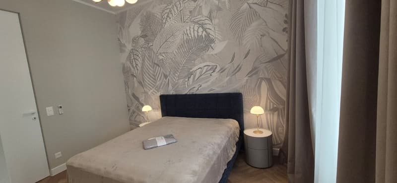 3.5 locali appartmento in affitto centro Lugano (19)