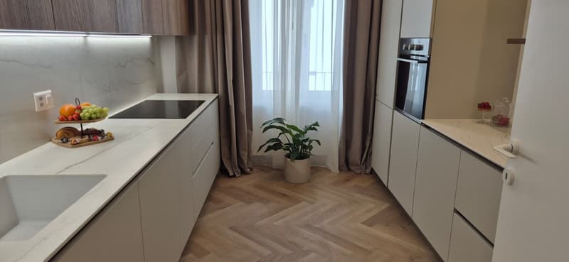 3.5 locali appartmento in affitto centro Lugano (24)