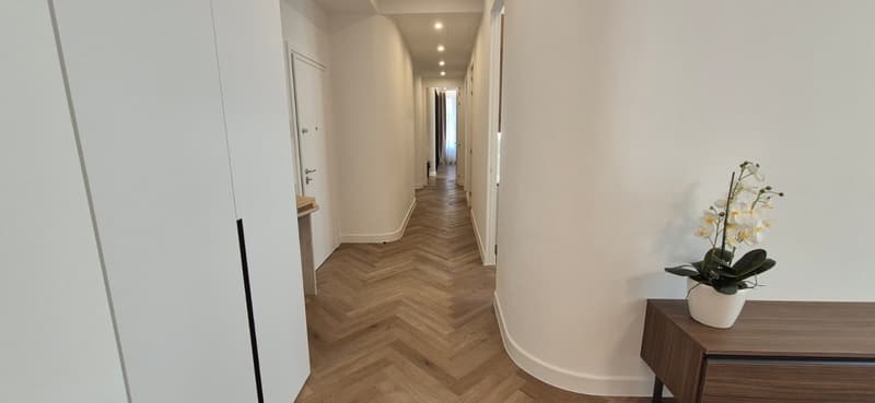 3.5 locali appartmento in affitto centro Lugano (15)