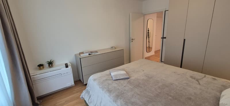 3.5 locali appartmento in affitto centro Lugano (19)