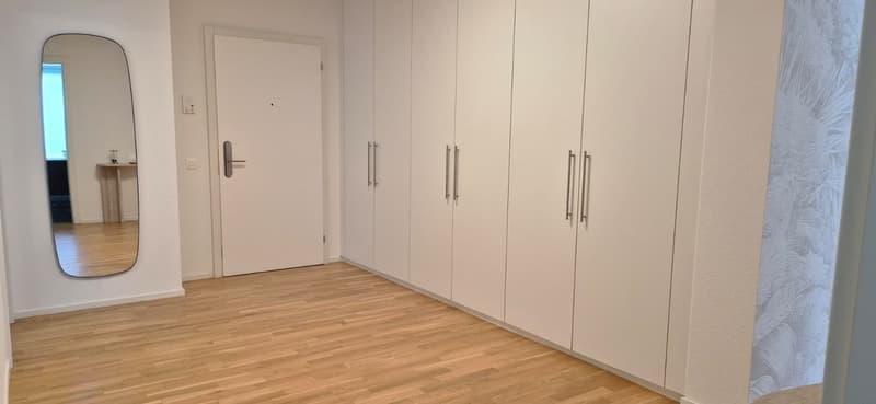 3.5 locali appartmento in affitto centro Lugano (21)