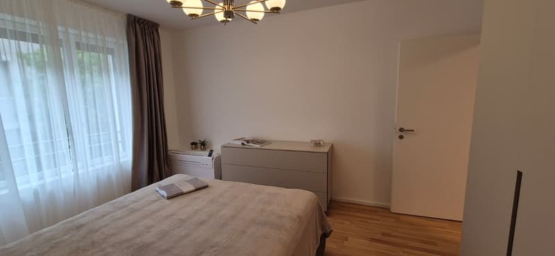 3.5 locali appartmento in affitto centro Lugano (18)