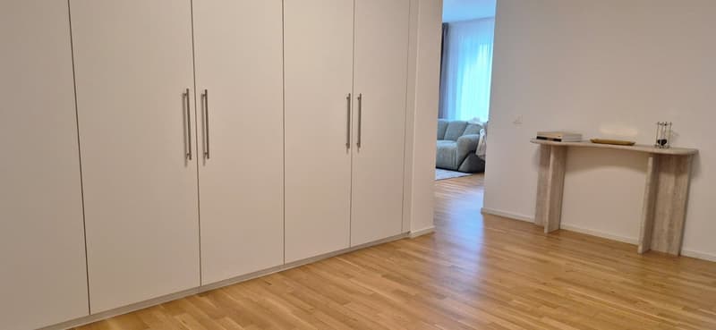 3.5 locali appartmento in affitto centro Lugano (22)