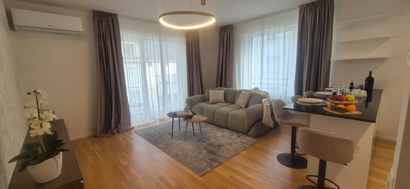 3.5 locali appartmento in affitto centro Lugano (3)