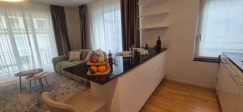3.5 locali appartmento in affitto centro Lugano (6)