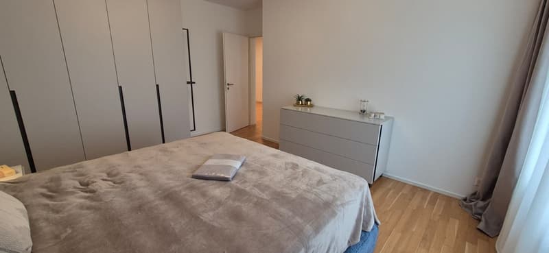 3.5 locali appartmento in affitto centro Lugano (14)