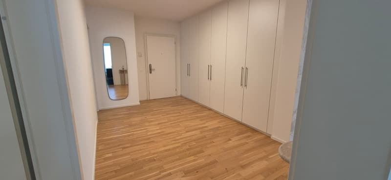 3.5 locali appartmento in affitto centro Lugano (20)