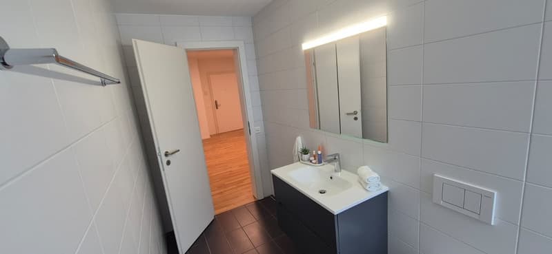 3.5 locali appartmento in affitto centro Lugano (24)