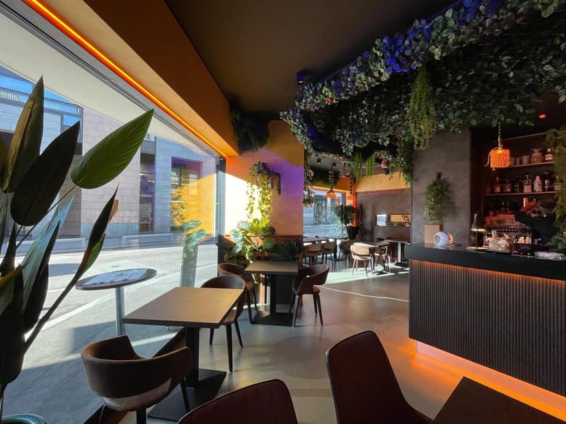 modern interior, large windows, wooden tables, chairs, counter, plants, shelves with bottles