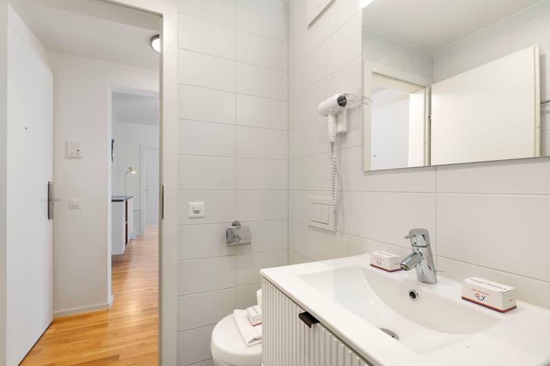 Appartamento 2.5 locali in affitto in centro Lugano (14)