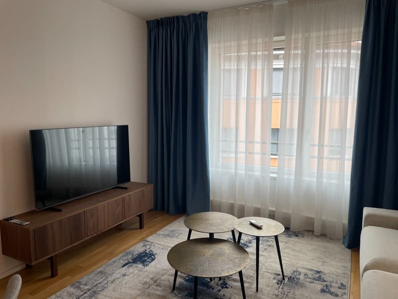Appartamento 2.5 locali in affitto in centro Lugano (9)
