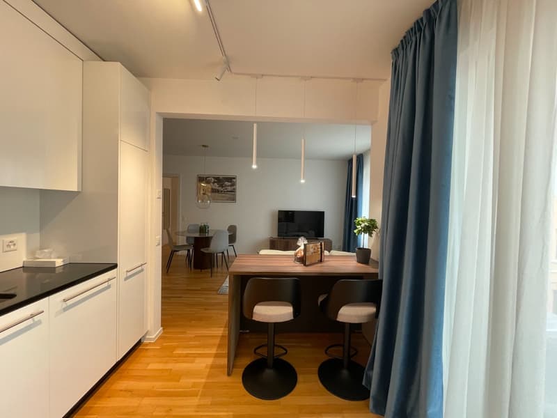 Appartamento 2.5 locali in affitto in centro Lugano (8)