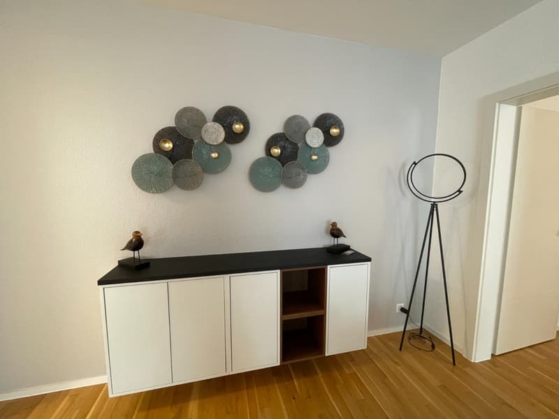 Appartamento 2.5 locali in affitto in centro Lugano (11)