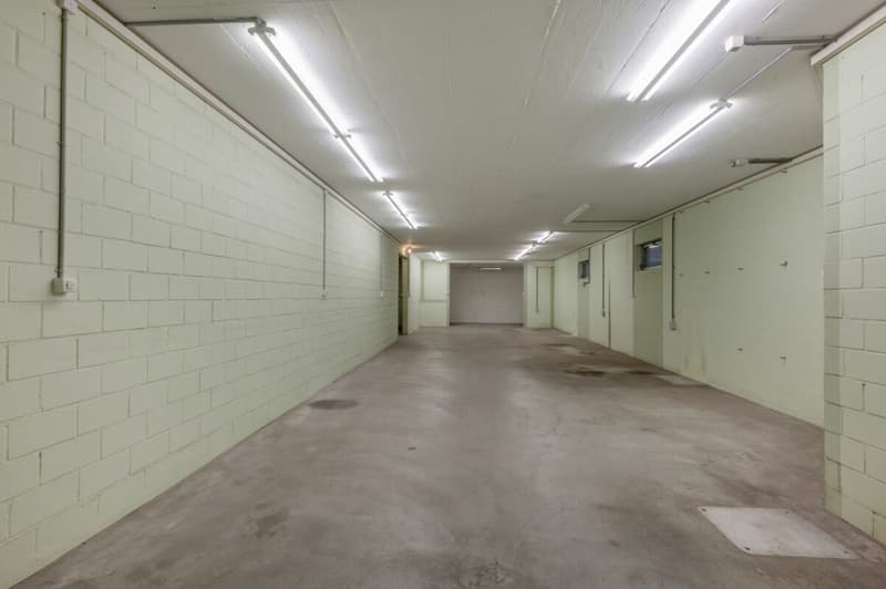 Repräsentatives Anwesen mit Ausbaupotenzial und Bauland-Reserve (10)