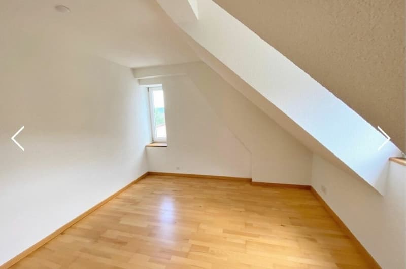 Besonderes Wohngefühl | Charmante Dachwohnung mit wunderschöner Galerie (6)