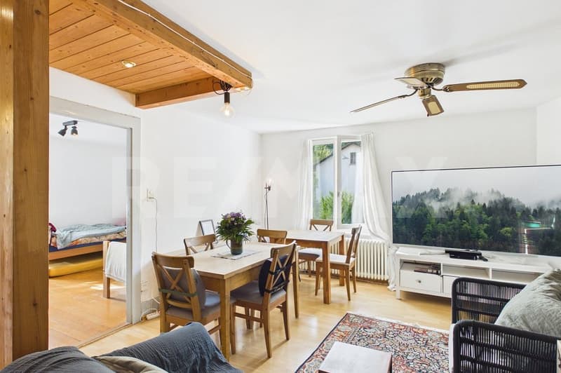 Charmante 3-Zimmer-Wohnung mit grosszügigem Dachstock  Meierhofquartier (3)