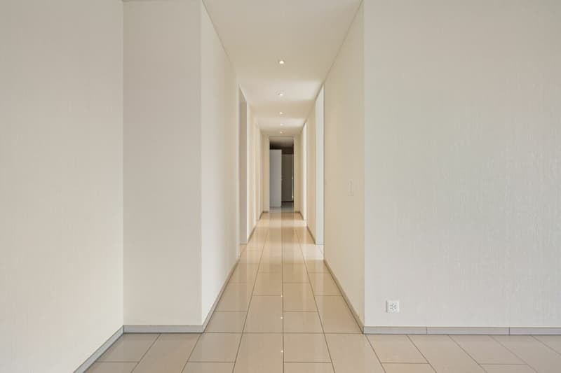 Exklusive 4.5-Zi-Terrassenwohnung mit schöner Aussicht (11)