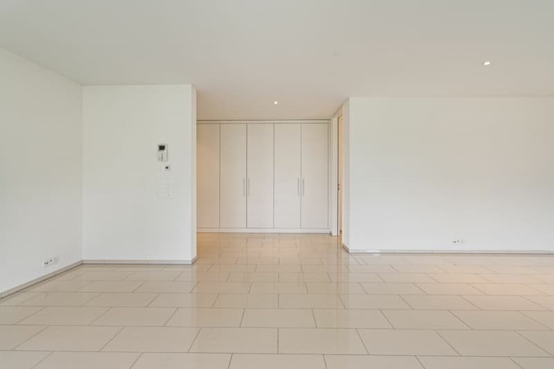 Exklusive 4.5-Zi-Terrassenwohnung mit schöner Aussicht (5)